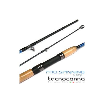 Canna da pesca TECNOCANNA PRO-SPINNING 2.10 mt. 40-100 gr.