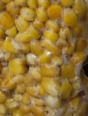 Sacchetto Betackle mais cotto 5 kg