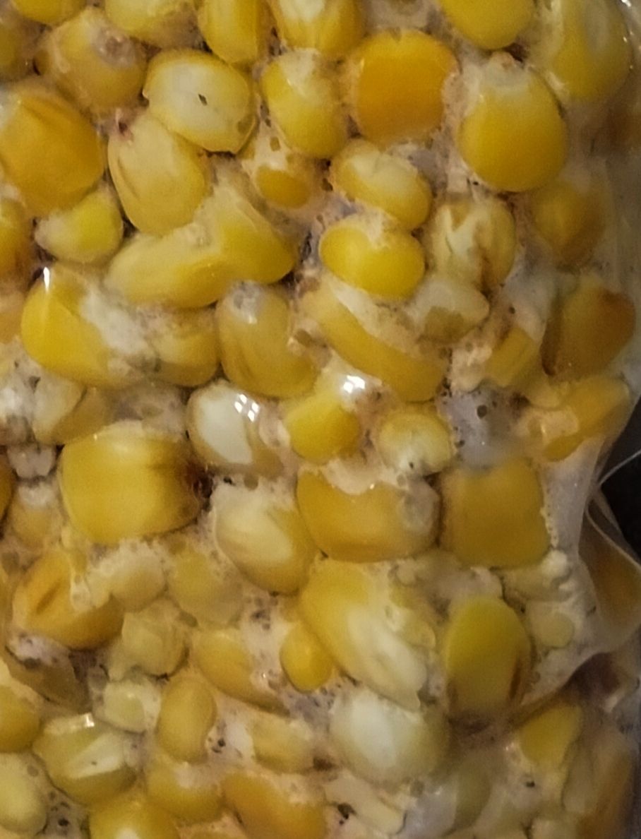 Sacchetto Betackle mais cotto 5 kg