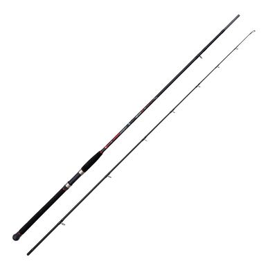 CANNA SHORE JIGGING Nomura RONIN 90-100 g 2.90 mt