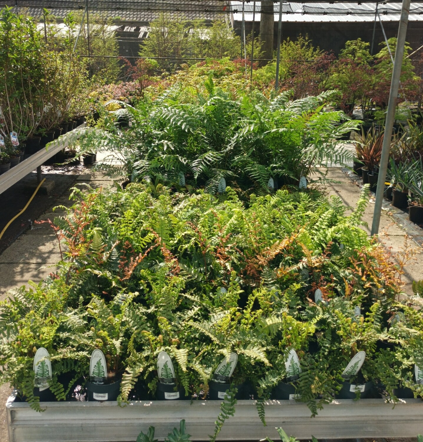 Varen tuincentrum Voordeeltuin Boskoop