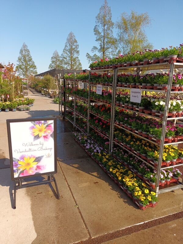 Perkplanten (Perkplant)