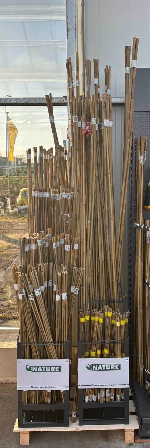 Bamboe stokken verschillende maten vanaf €1,35