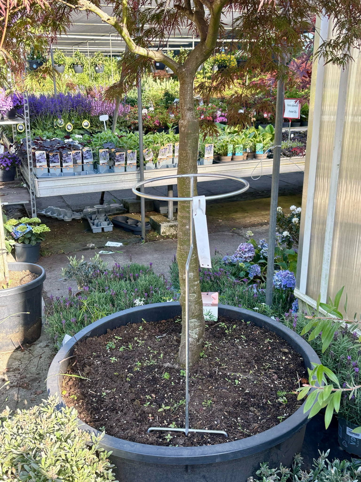 Gazonprikker voor  pot OP=OP