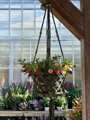 Macrame hanig basket OP=OP