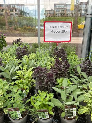 Kruiden Verschillende soorten 4 voor €10 OP=OP