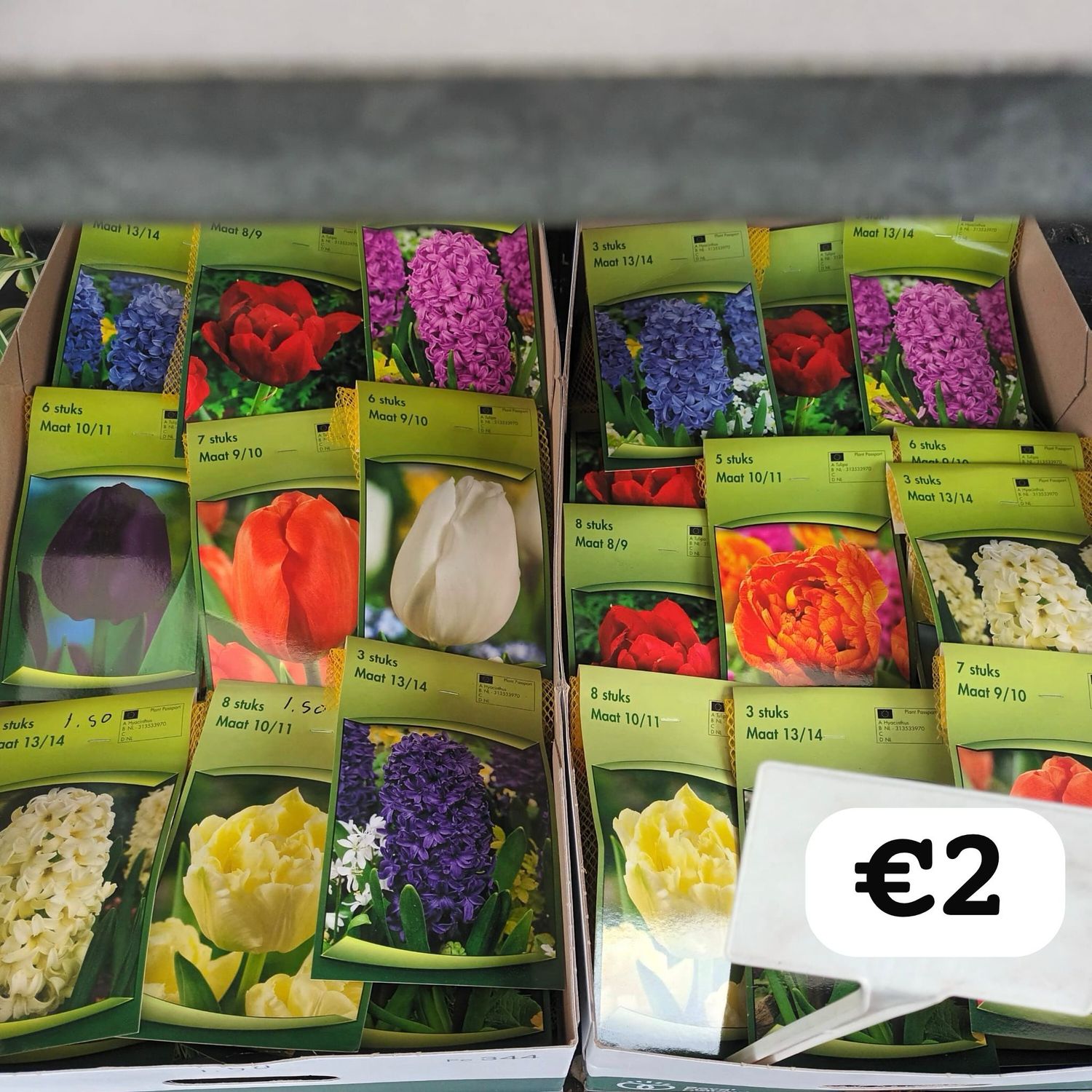 Bloembollen Mix(Bloembol) OP=OP