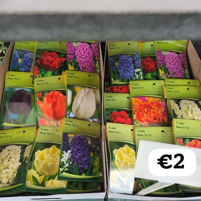 Bloembollen Mix(Bloembol) OP=OP