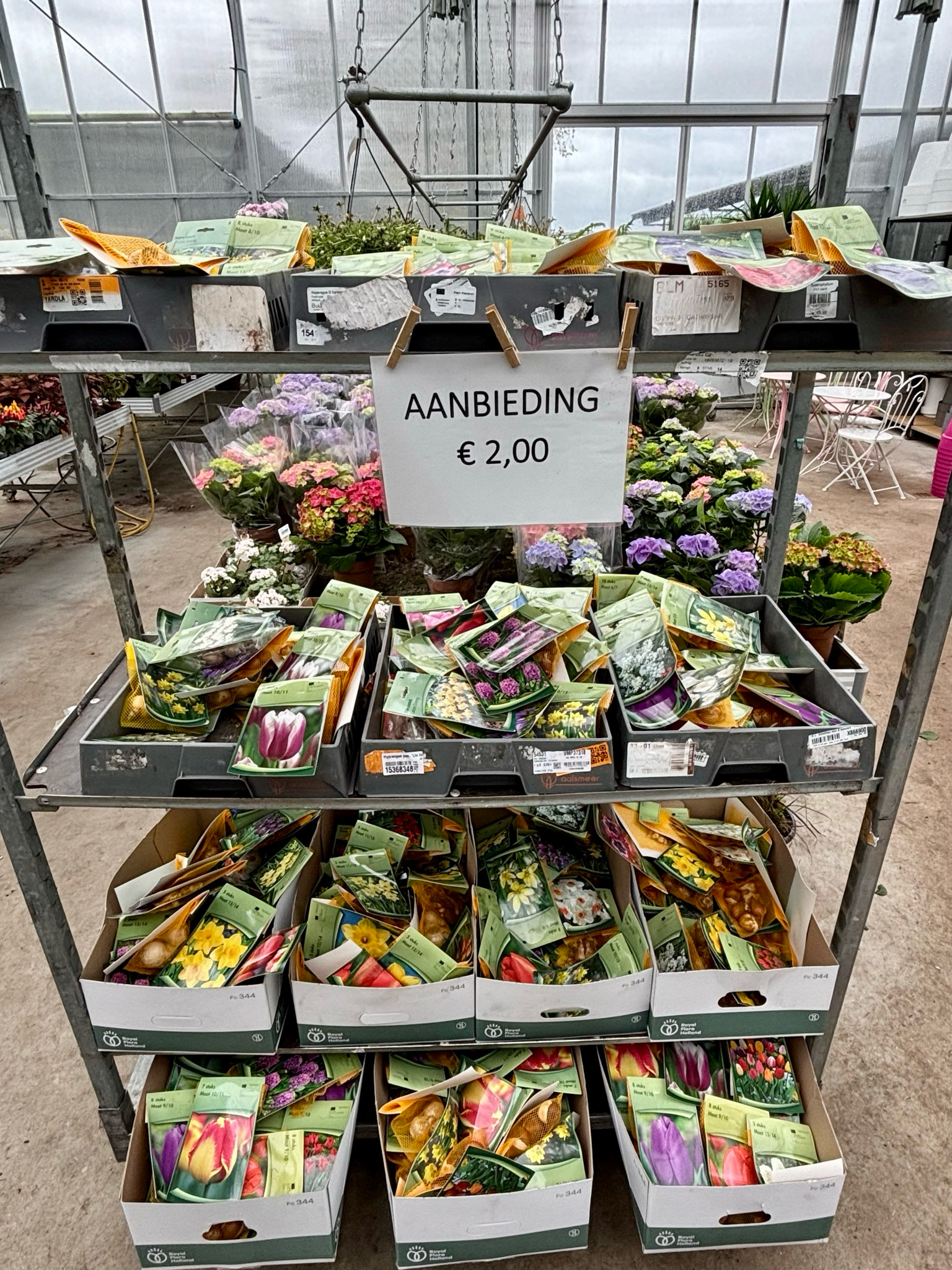Bloembollen Mix(Bloembol) OP=OP