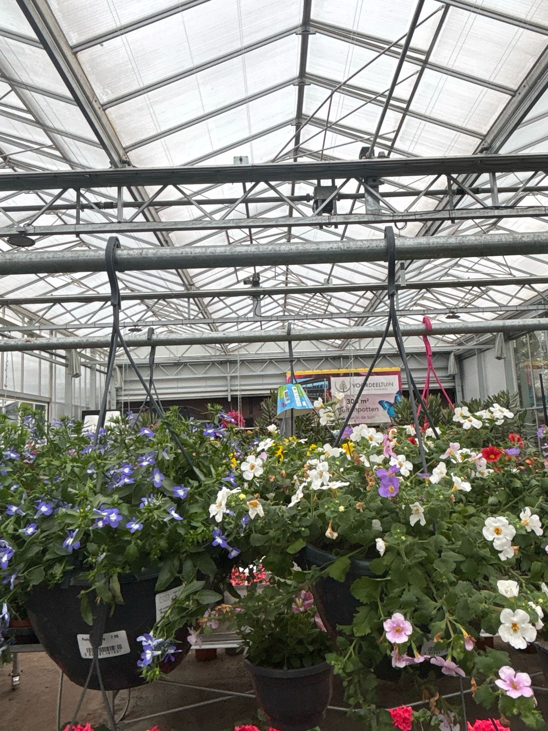 Perk Hangplanten verschillende soorten OP=OP