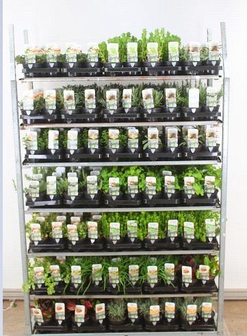 Kruiden Bio OP=OP Kruiden Bio OP=OP