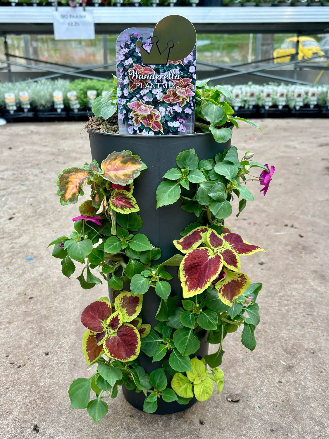 Perkplanten staande bak OP=OP