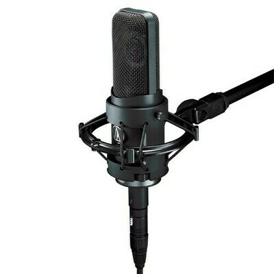 Audio Technica AT4050 (Multi-pattern Condenser Microphone)