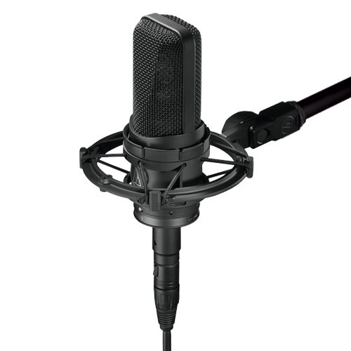 Audio Technica AT4050 (Multi-pattern Condenser Microphone)