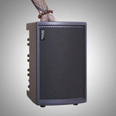 C-Music BA28 busking amplifier