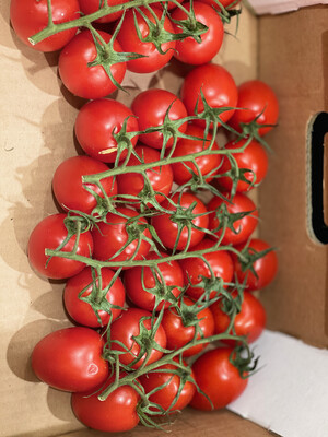 Deutsche Romanello Tomaten