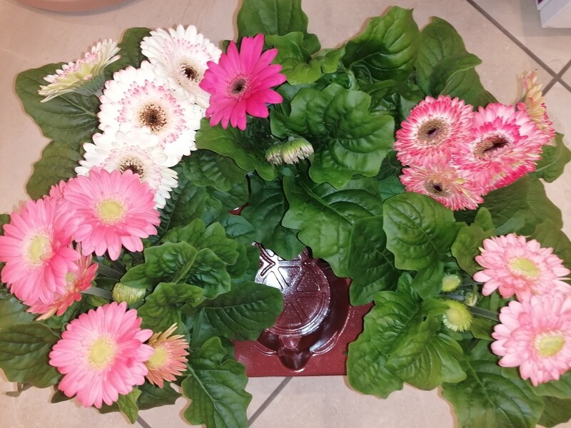 Gerbera-Tpfchen