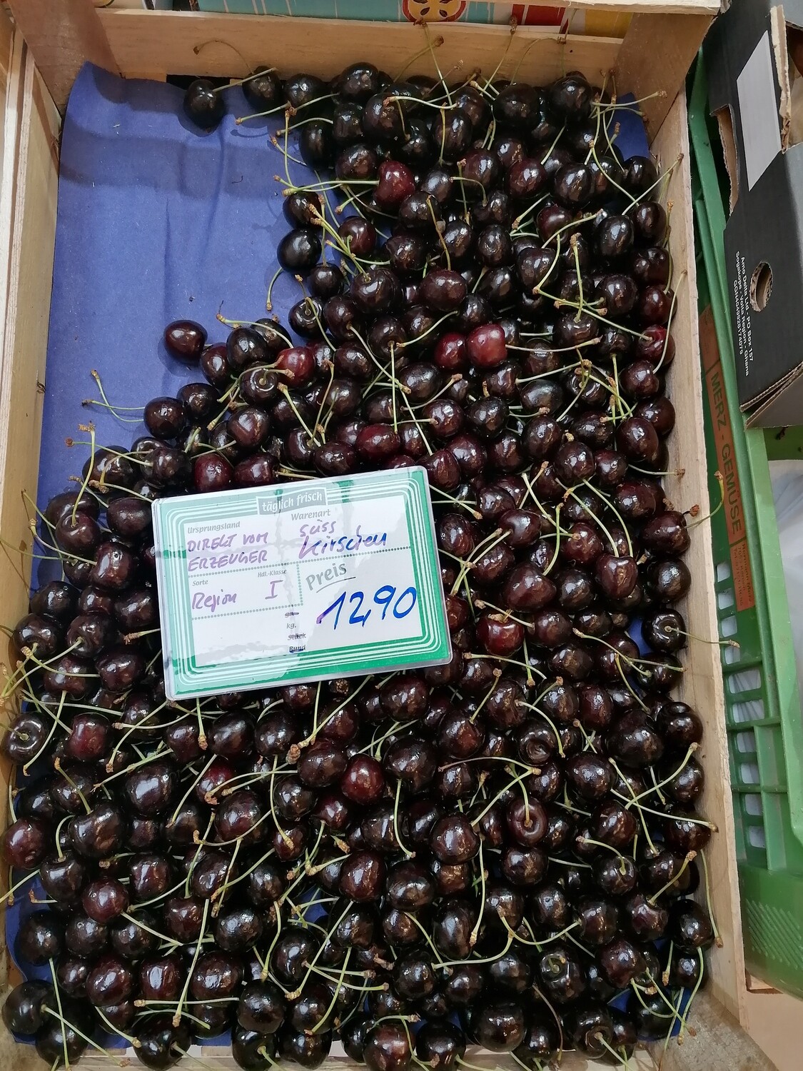 Süß-Kirschen 30 mm ab Juni ca