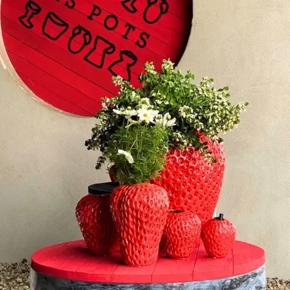 DES POTS – Best Taste – Website in Progress……