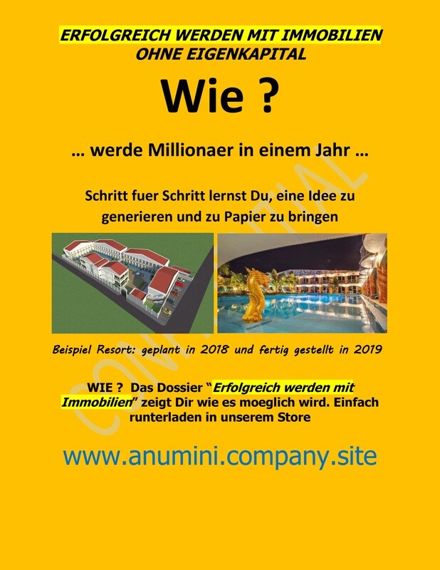 SO VERDIENST AUCH DU MIT IMMOBILIEN GELD - OHNE EIGENKAPITAL
