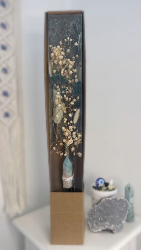 Caribbean Calcite Preserved Arrangement In Display Box