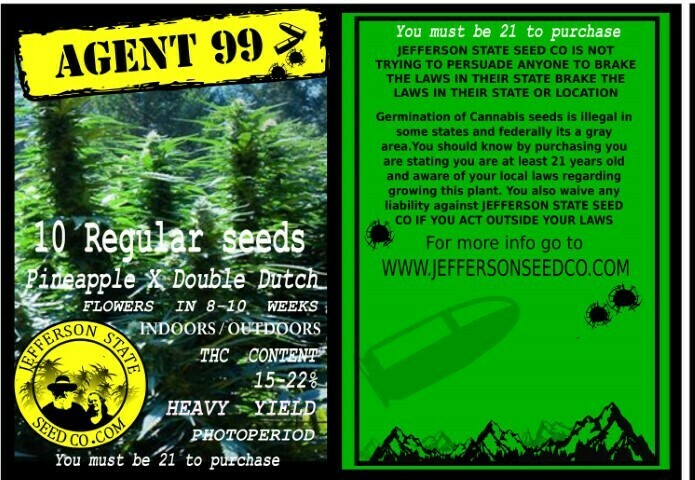 Agent99