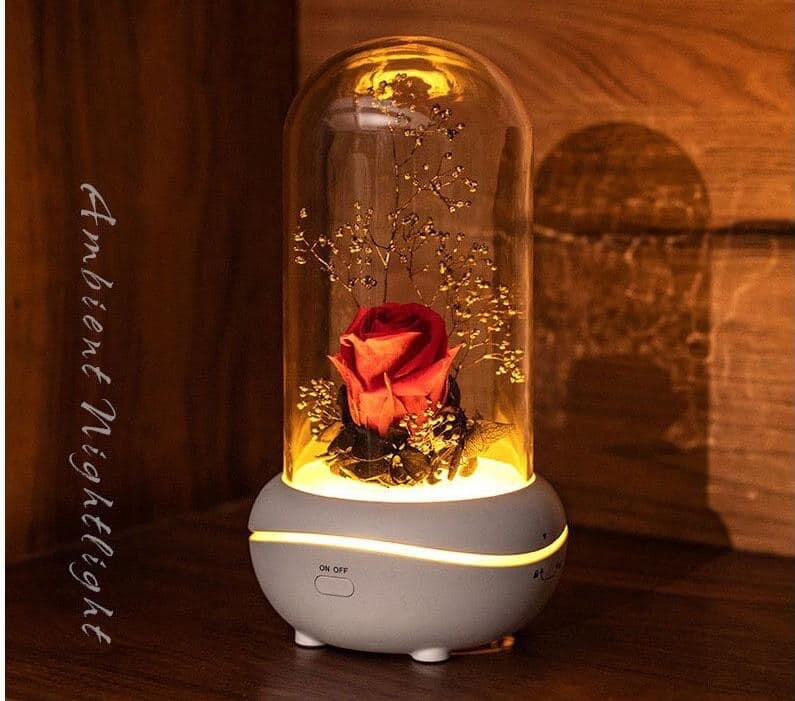Preserved Rose🌹 last forever humidifier
