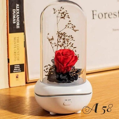 Preserved Rose🌹 last forever humidifier