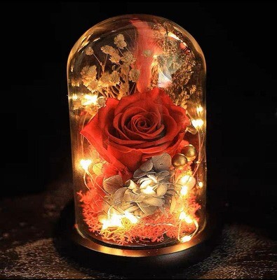 Preserved Rose🌹 last forever ❤️
