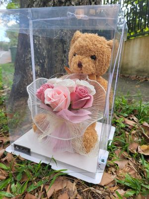 Brown teddy bear with Soap roses and LOVE lighting