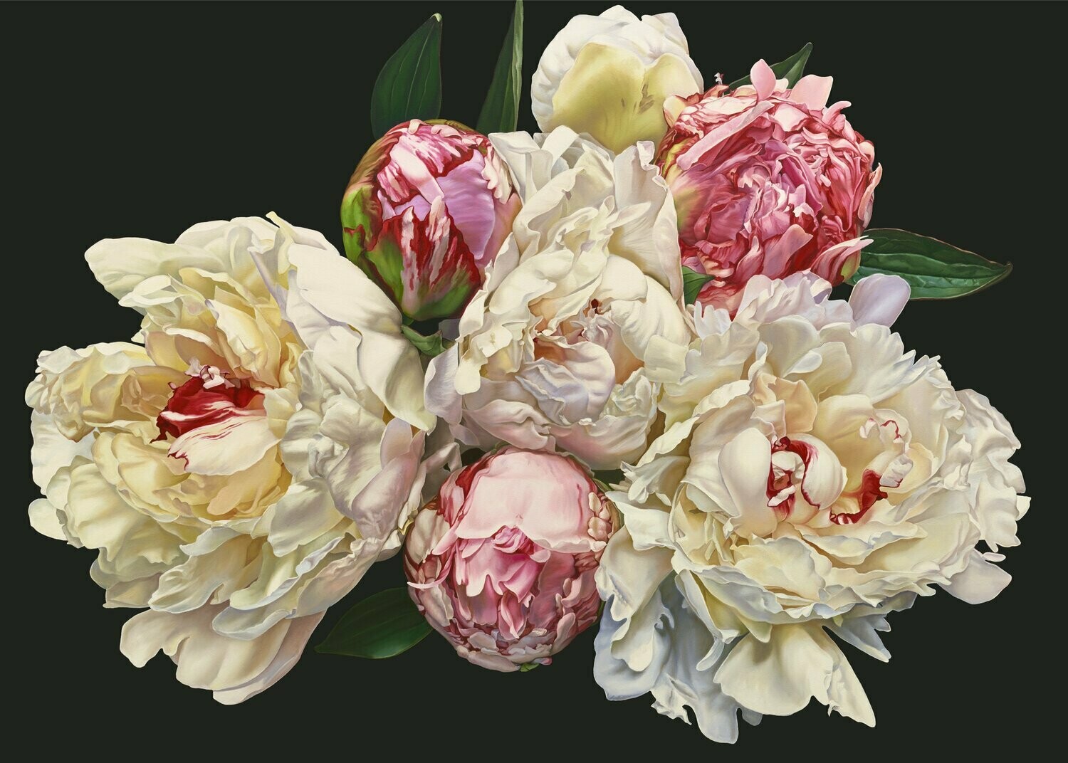 Peonie Parade