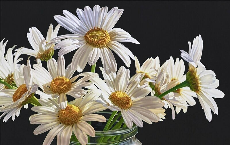 Daisy a Day