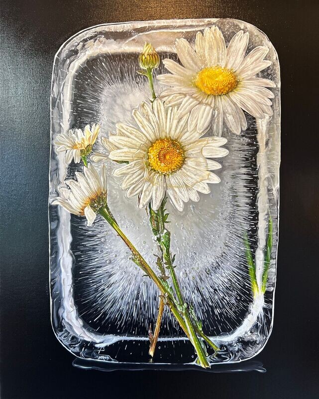 Daisies on Ice