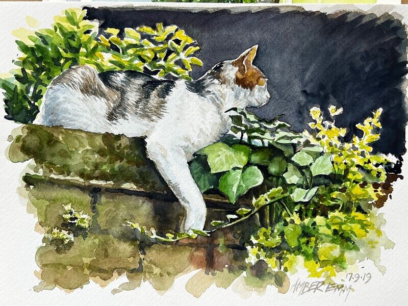 Cat on Wall