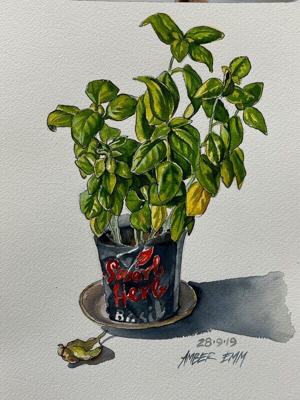 Basil