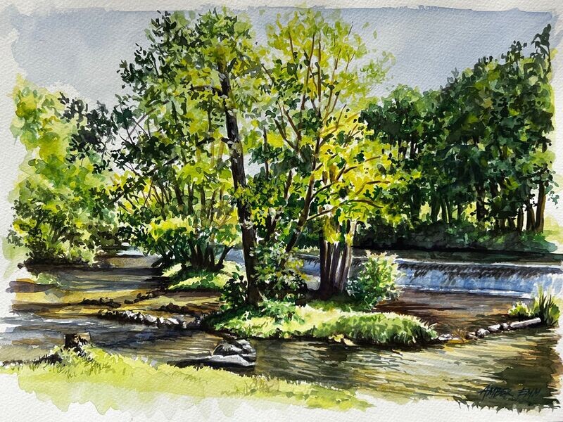 France Waterhole