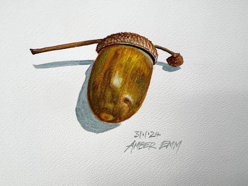 Acorn