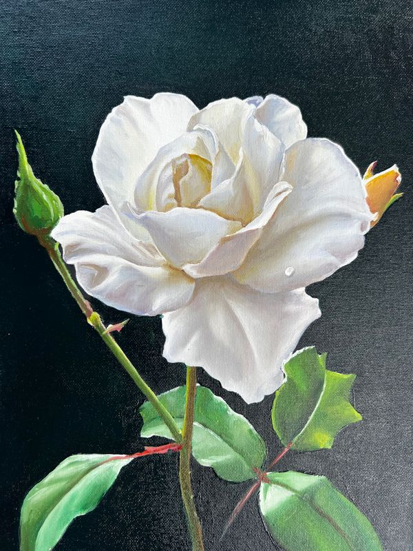 Oils Workshop - 18th May 2025 - Please book by scanning the QRcode