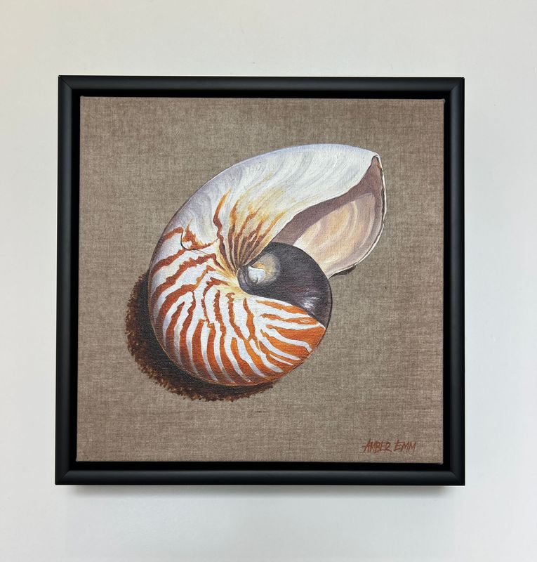 Nautilus