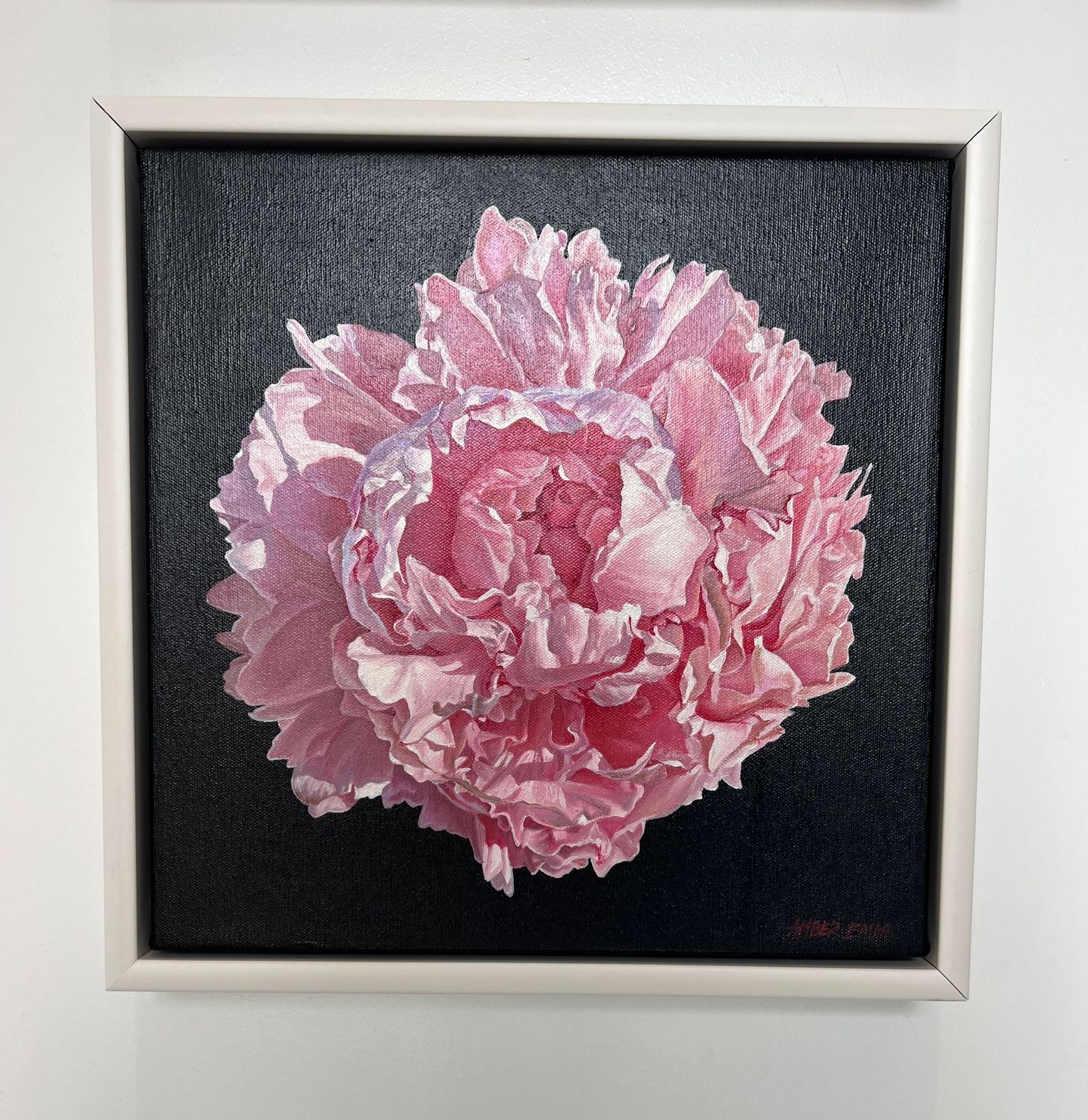 Pink peony