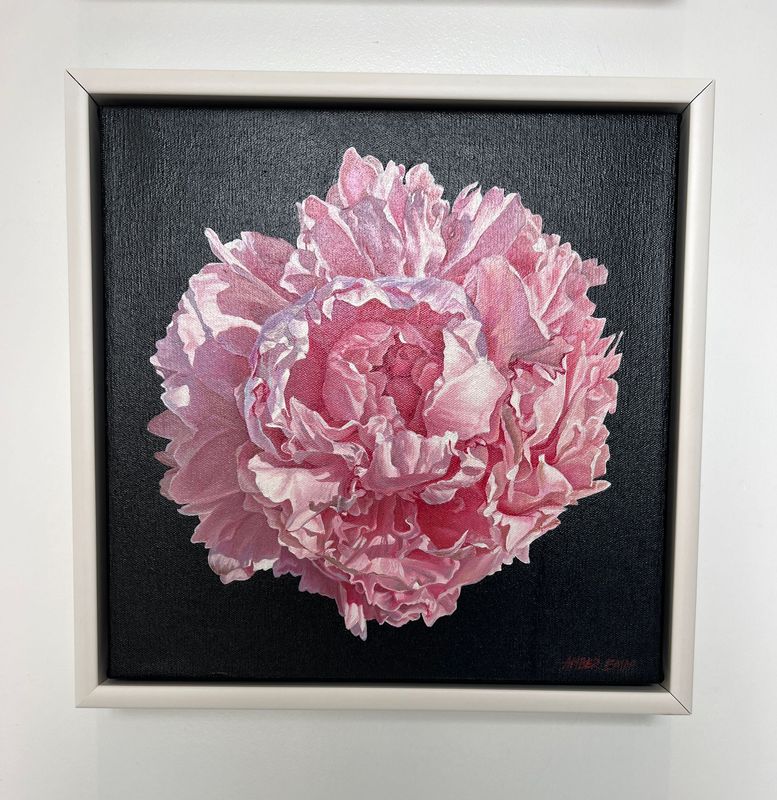 Pink peony