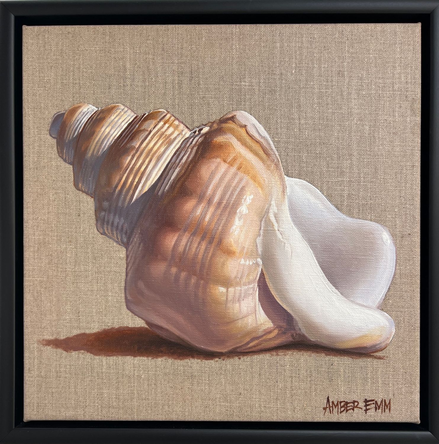 Ostrich footed snail