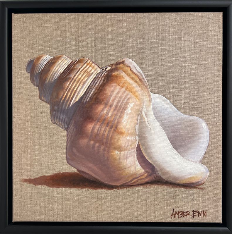 Ostrich footed snail