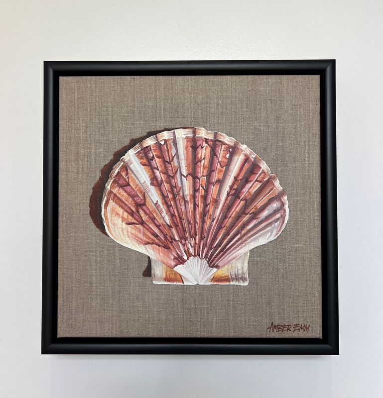 Scallop - flat bottom