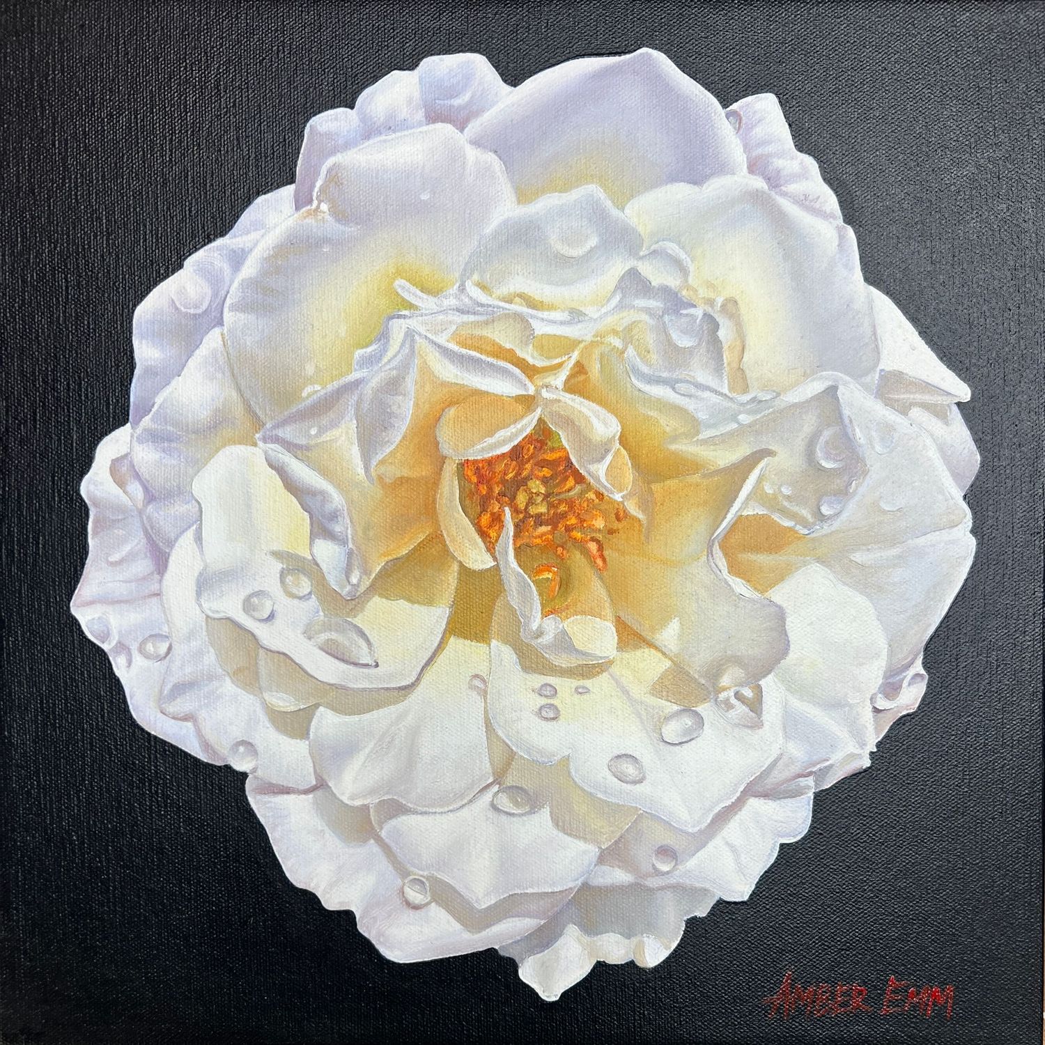 White rose
