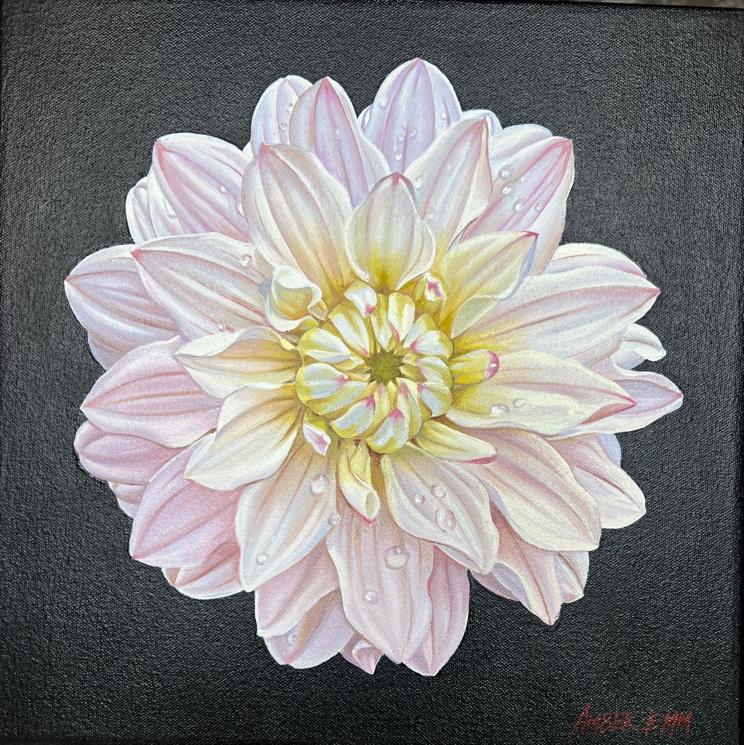 Silver year Dahlia