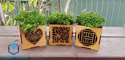 Planter Box