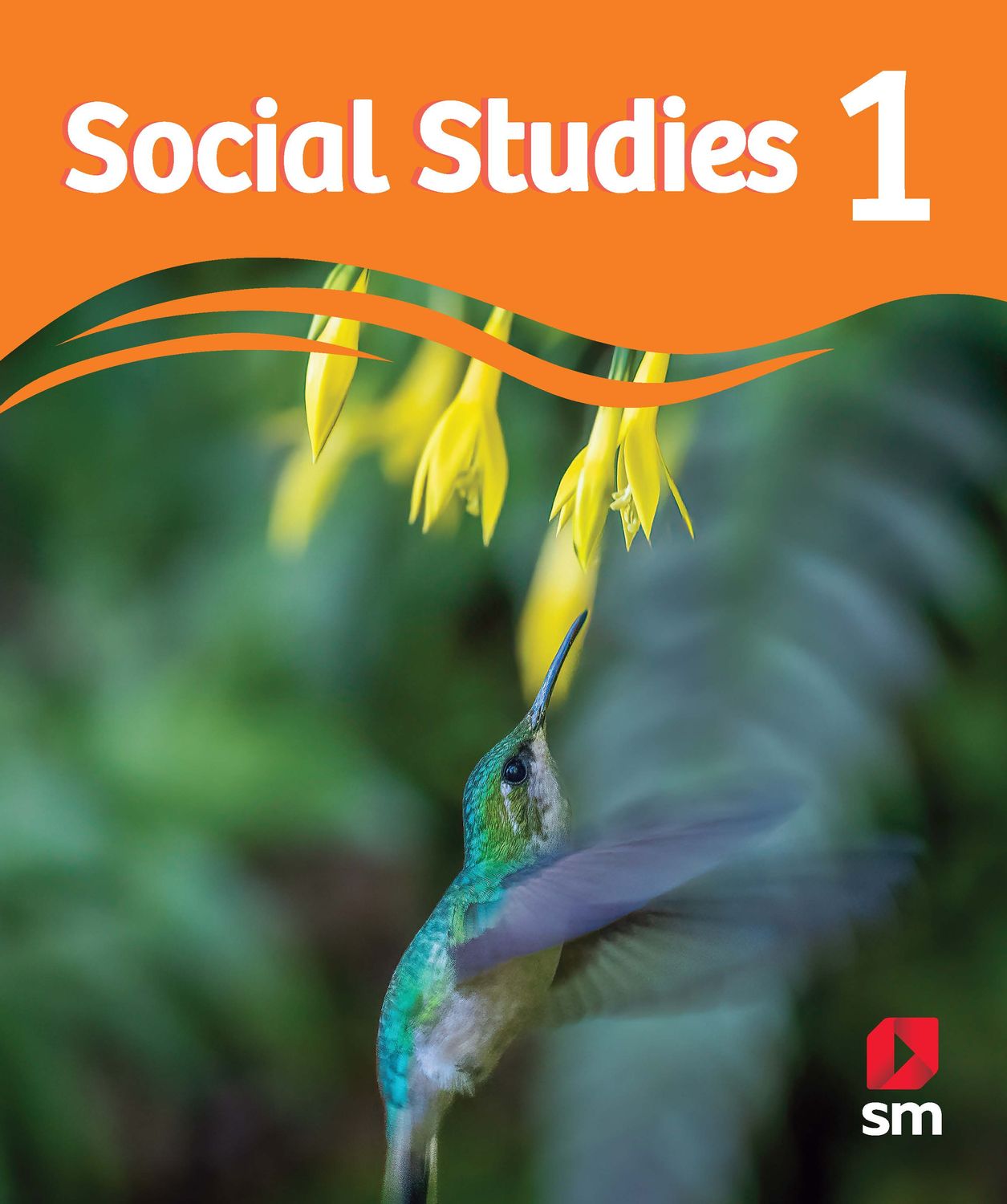 PRIMERO DP - SM SOCIAL STUDIES 1 TEXT AND DIGITAL ACCESS - SM - 25 - ISBN 9781644866979