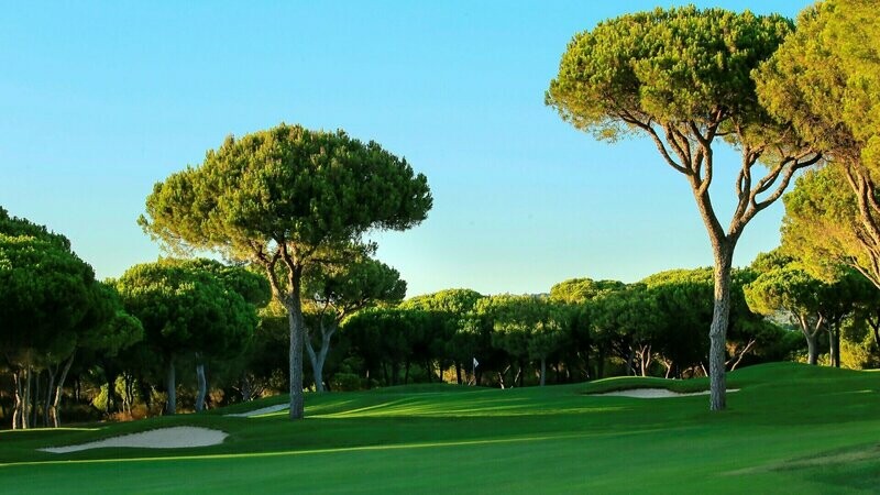 Millenium Golf   Course  Dom Pedro - Vilamoura, Algarve