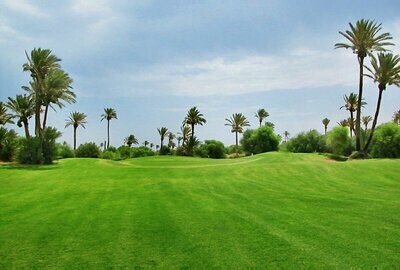 Djerba Golf Club / 27